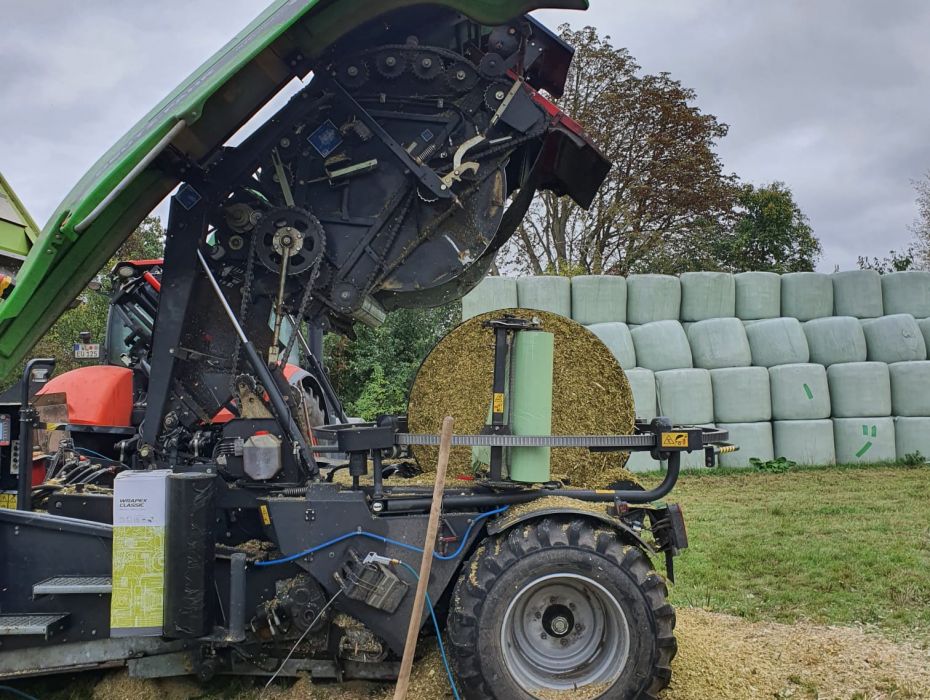 WhatsApp Image 2025 10 14 at 11.02.49 web