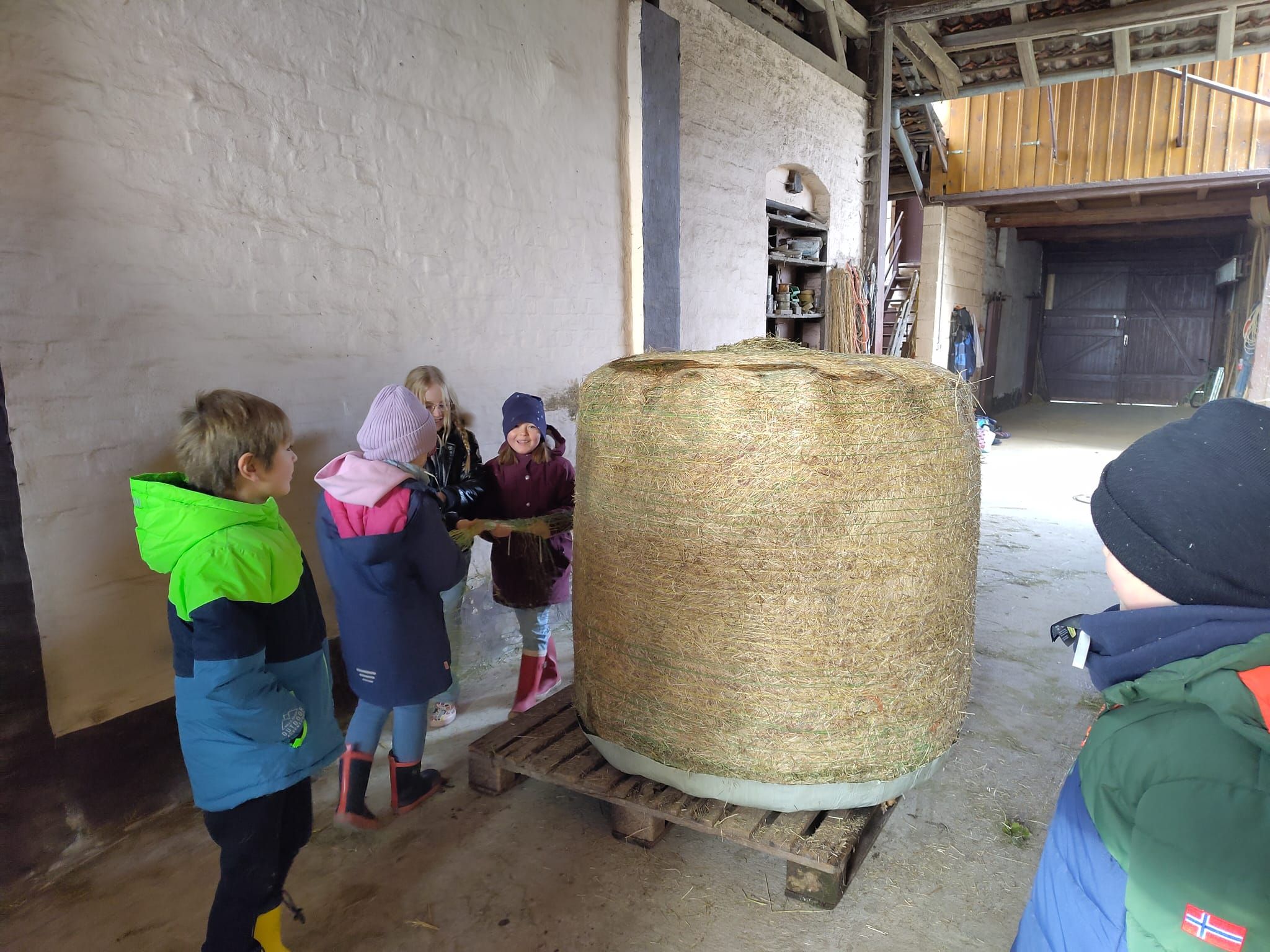 WhatsApp Image 2025 11 28 at 10.18.57