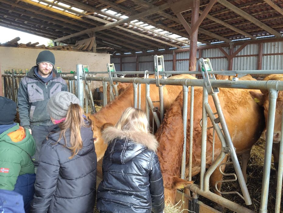 WhatsApp Image 2025 11 28 at 10.19.34 web