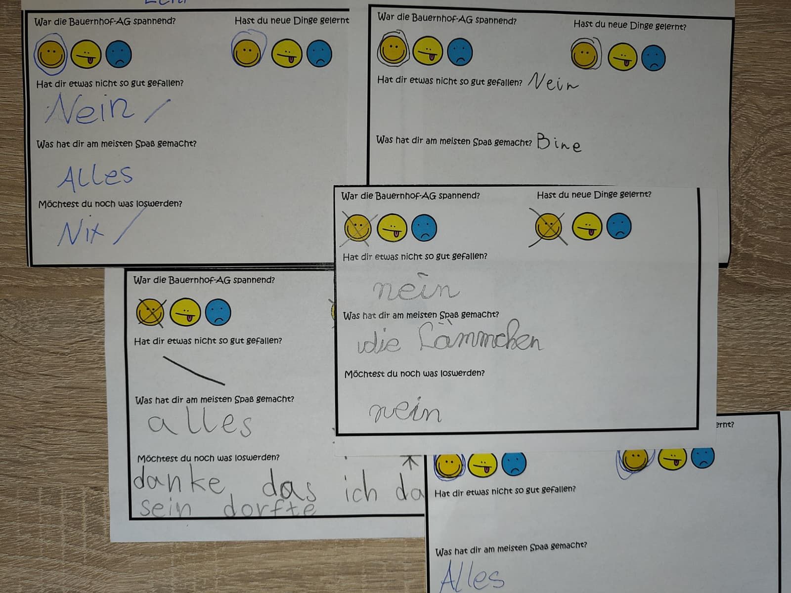 WhatsApp Image 2026 01 30 at 11.52.28