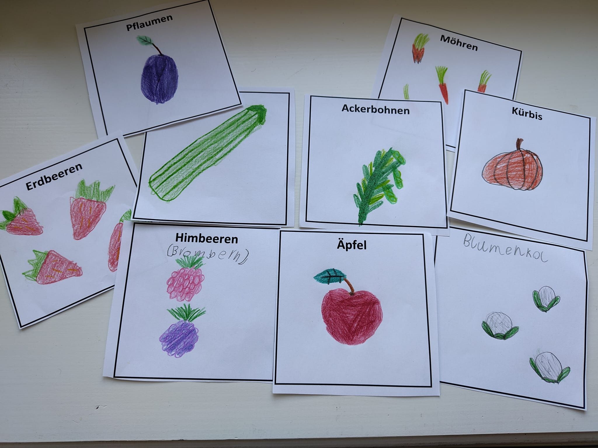 WhatsApp Image 2026 03 04 at 13.37.38