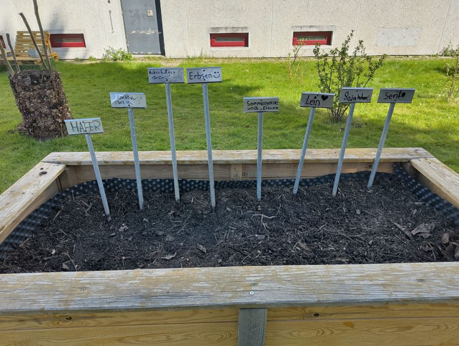 WhatsApp Image 2026 04 24 at 12.46.21 web