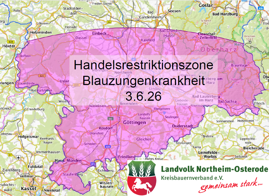 Blauzunge_Juni_2026.jpeg