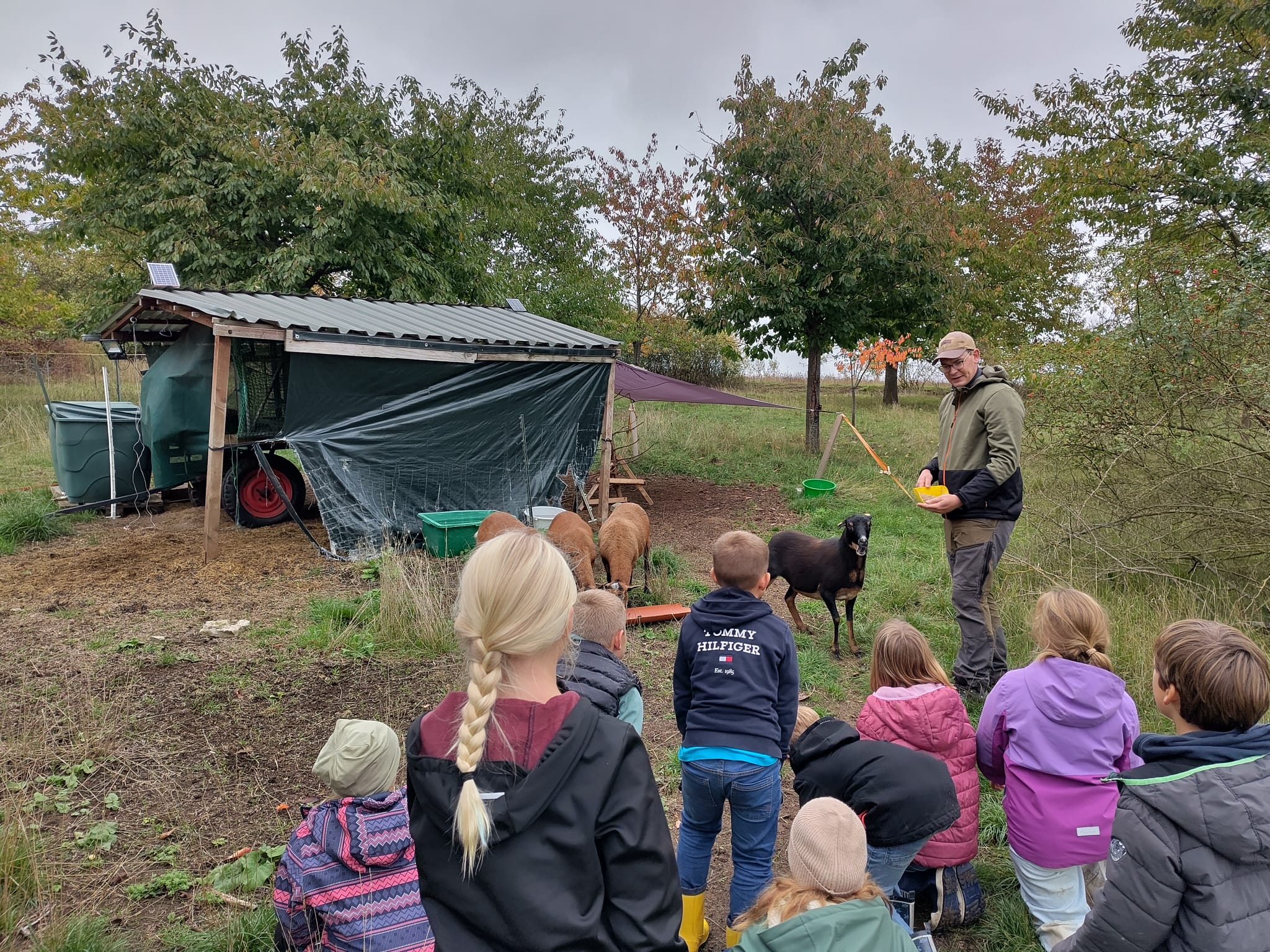 WhatsApp Image 2025 10 10 at 11.30.38